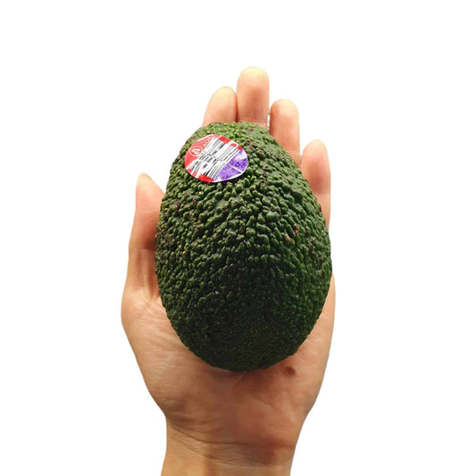 Avocado (BIG) 18/20s