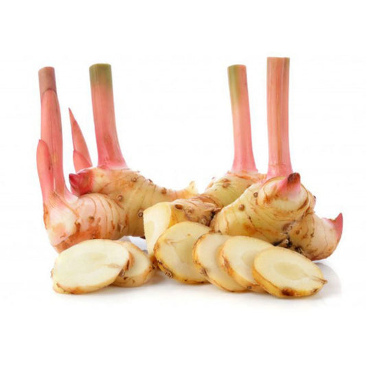 Ginger Blue (Galangal)