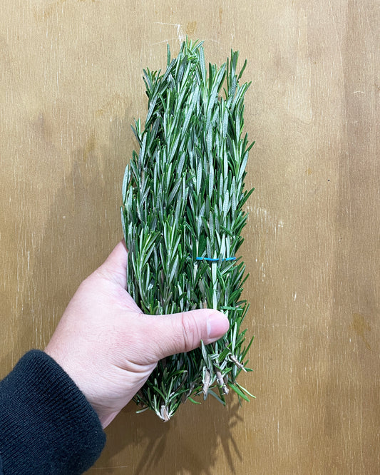 Herb Rosemary
