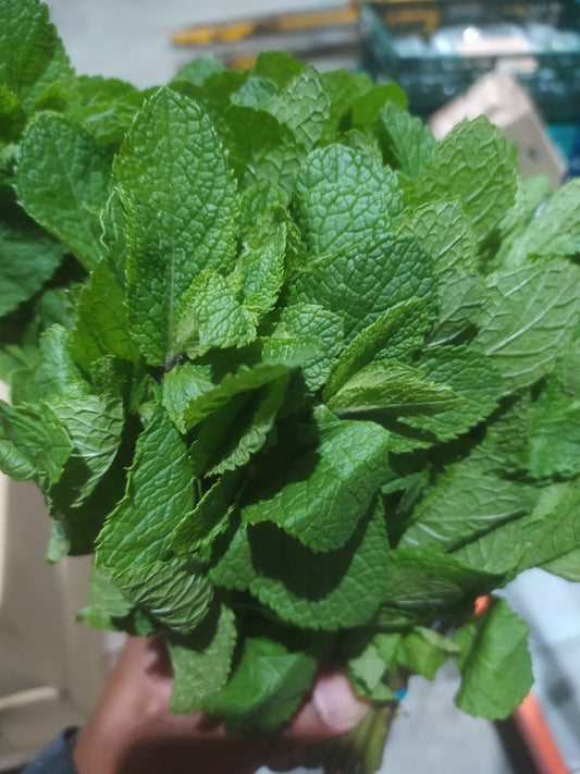 Herb Mint Pepper