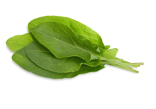 Herb Sorrel
