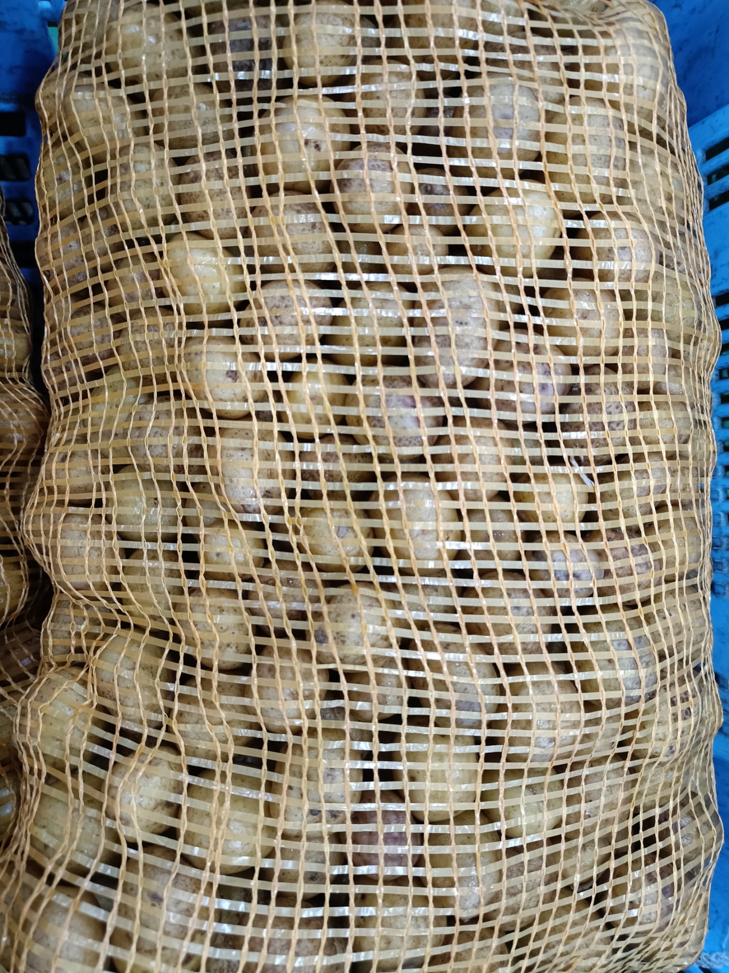 Potato Baby