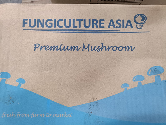 Mushroom Button White