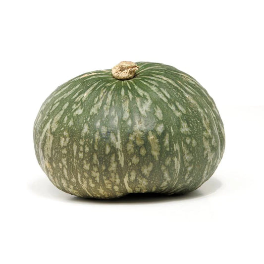 Pumpkin Japanese