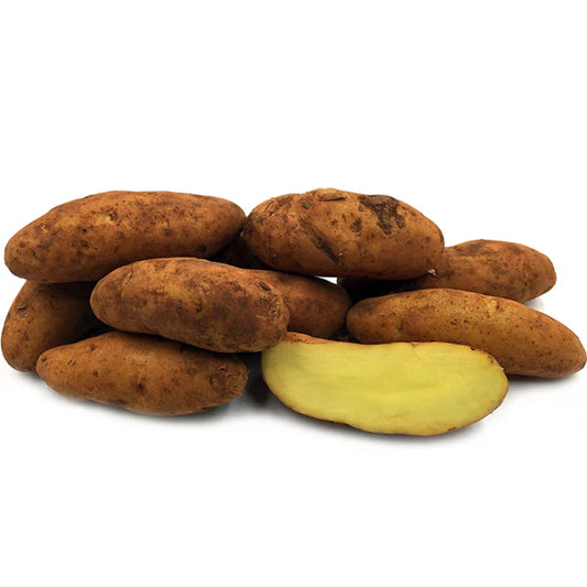 Potato Kipfler