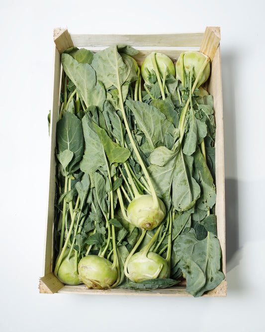 Kohlrabi