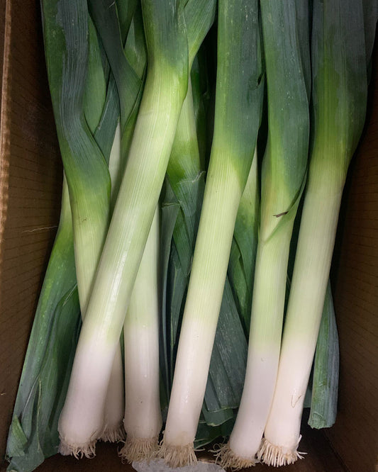 Leek Australia / Holland