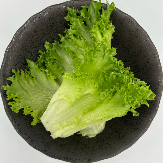 Lettuce Green Coral - Whole Leave 0.3 kg/pkt (Kito)