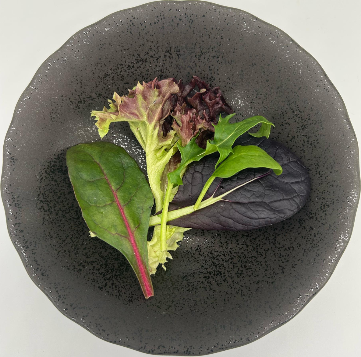Lettuce Mesclun - Washed 500gm/pkt (Kito)