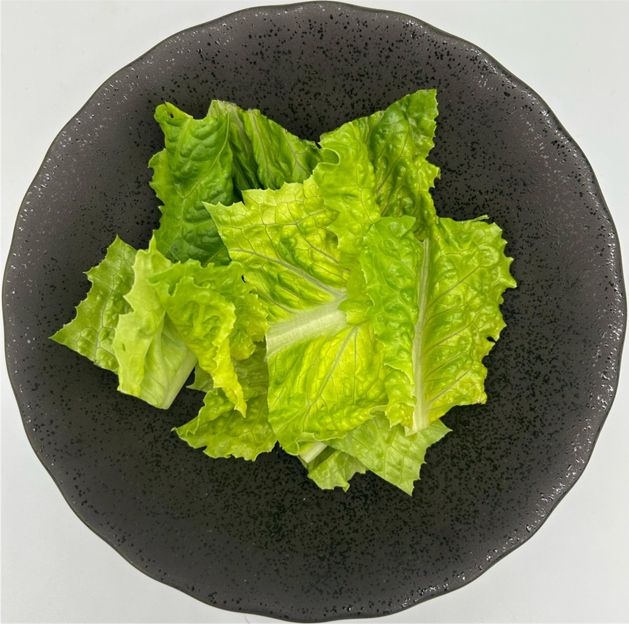 Lettuce Romaine - Cut - 1 kg/pkt (Kito)