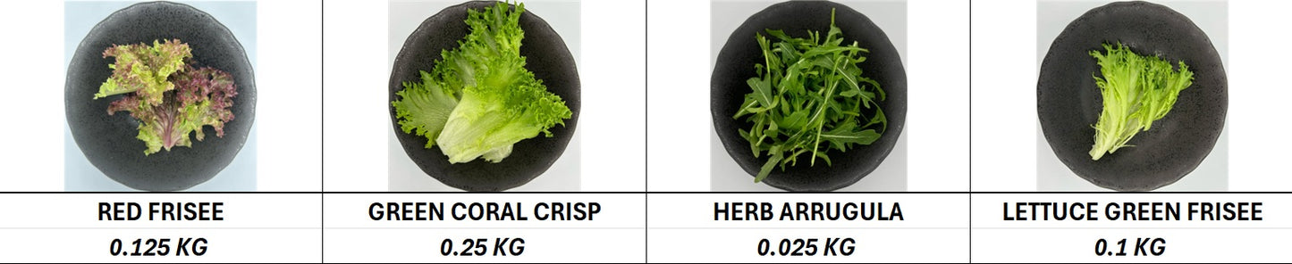Lettuce Garden Mix V3 - 500gm/Pkt (Kito)