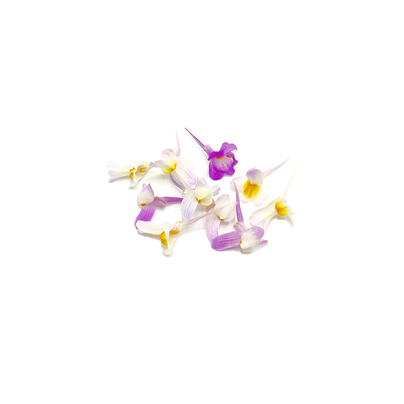 Edible Flowers - Linaria (Mix) (Nosh)