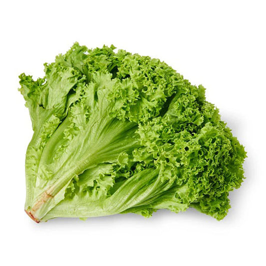 Lettuce Green Coral