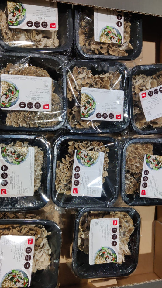 Mushroom Maitake