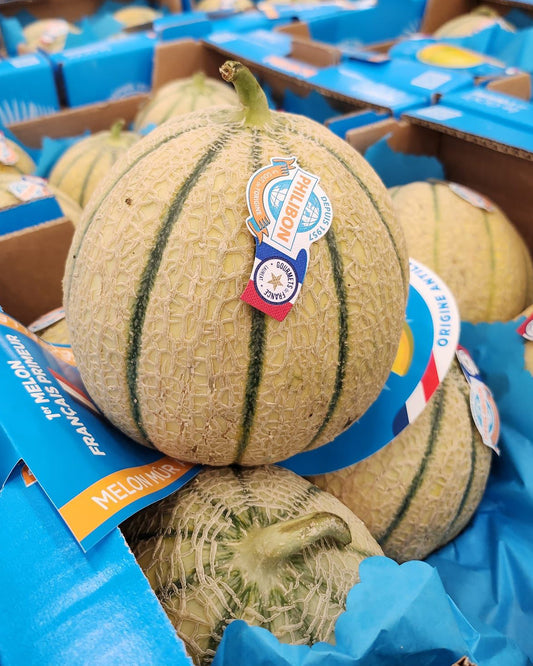 Melon Philibon