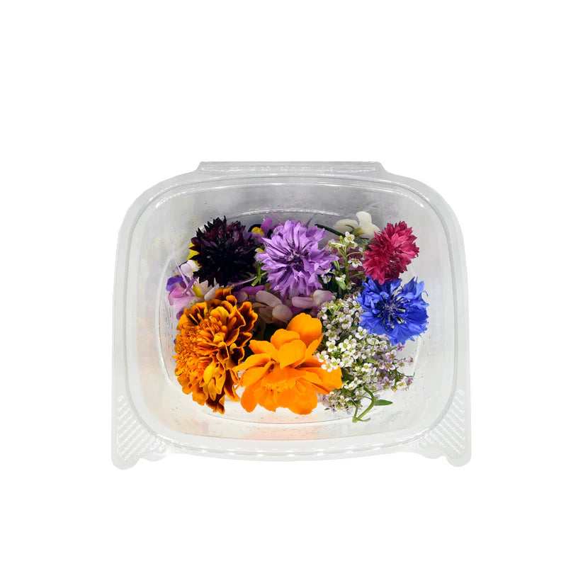 Edible Flowers Mix Variety / Mix Bloom