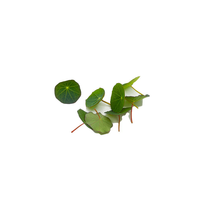 Herbs - Nasturtium Leaves (Large) (Nosh)