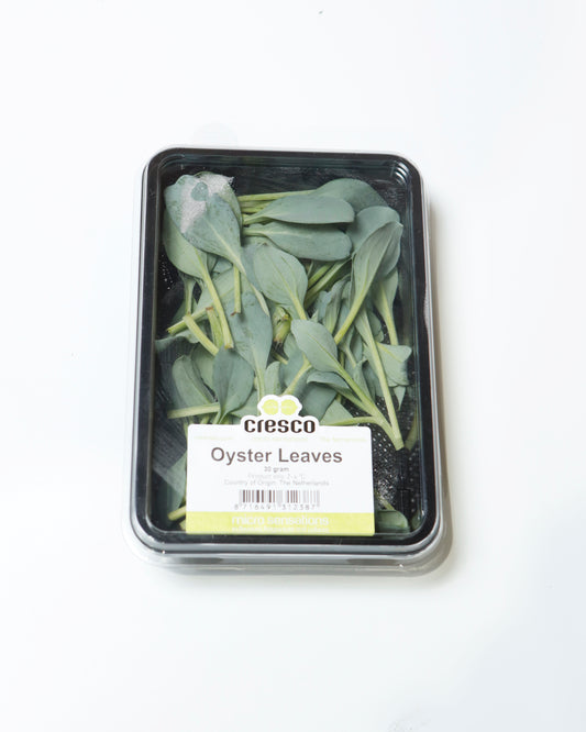 Oyster Leaves Cresco