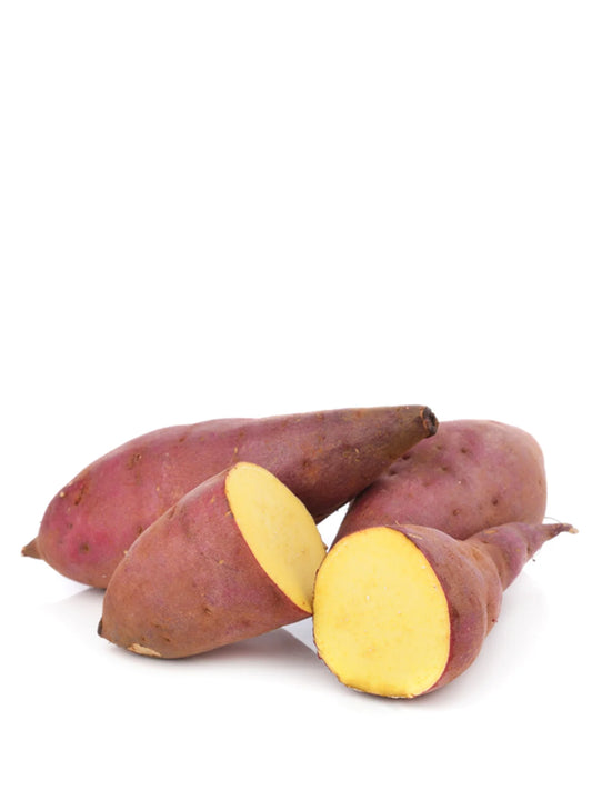 Potato Sweet Japanese Yellow
