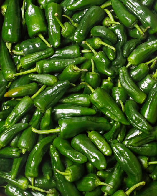 Pepper Pimenta Padron