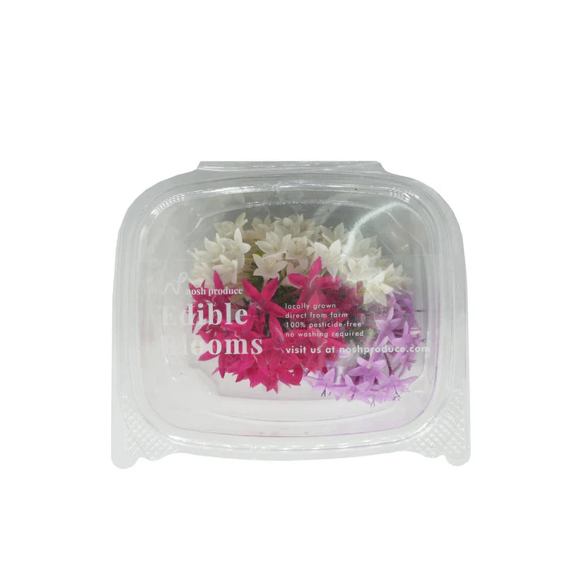 Edible Flowers - Pentas Egyptian Star (Mix) (Nosh)