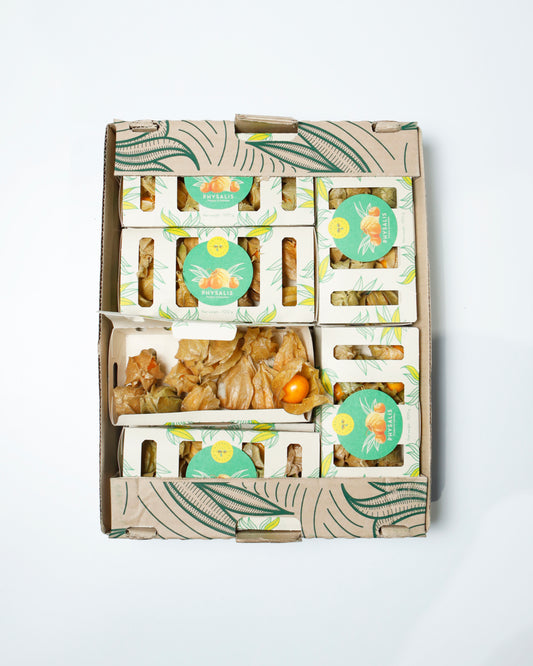 Physalis / Golden Gooseberry