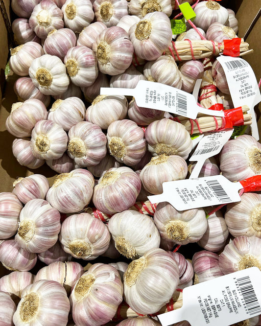 Pink Garlic