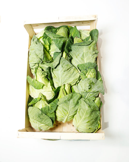 Cabbage Spring