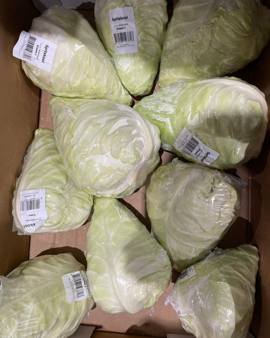 Cabbage Spring