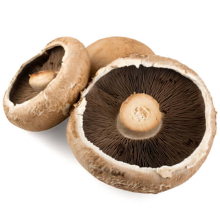 Mushroom Portobello