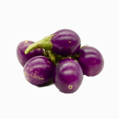 Eggplant Round India Baby Purple