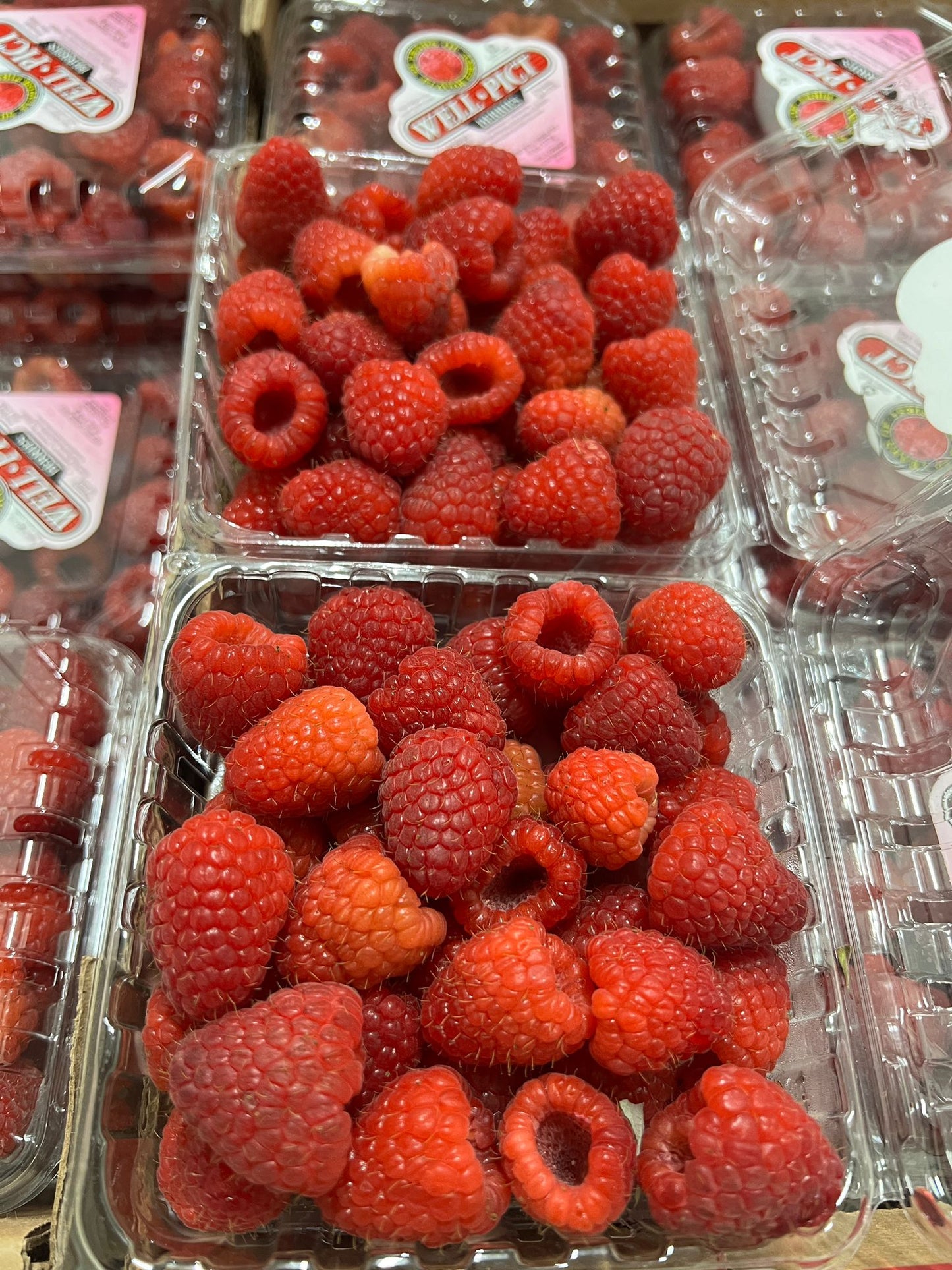 Raspberry