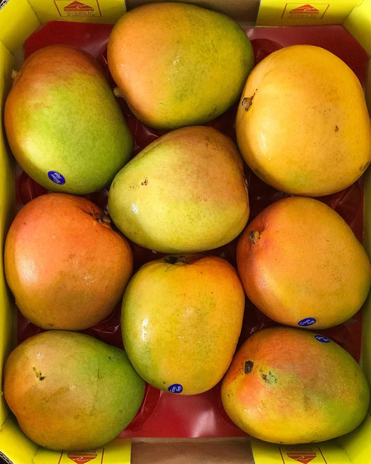 Mango Australia