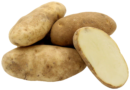 Potato Russet USA (110's)