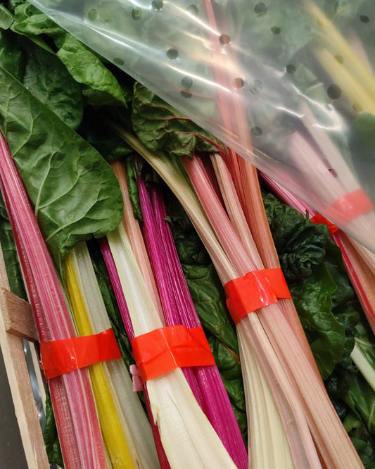 Rainbow Chard