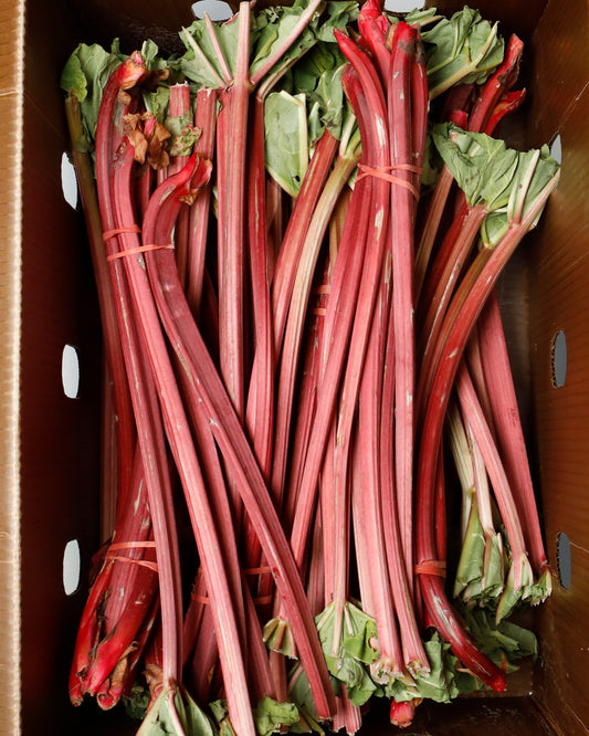 Rhubarb