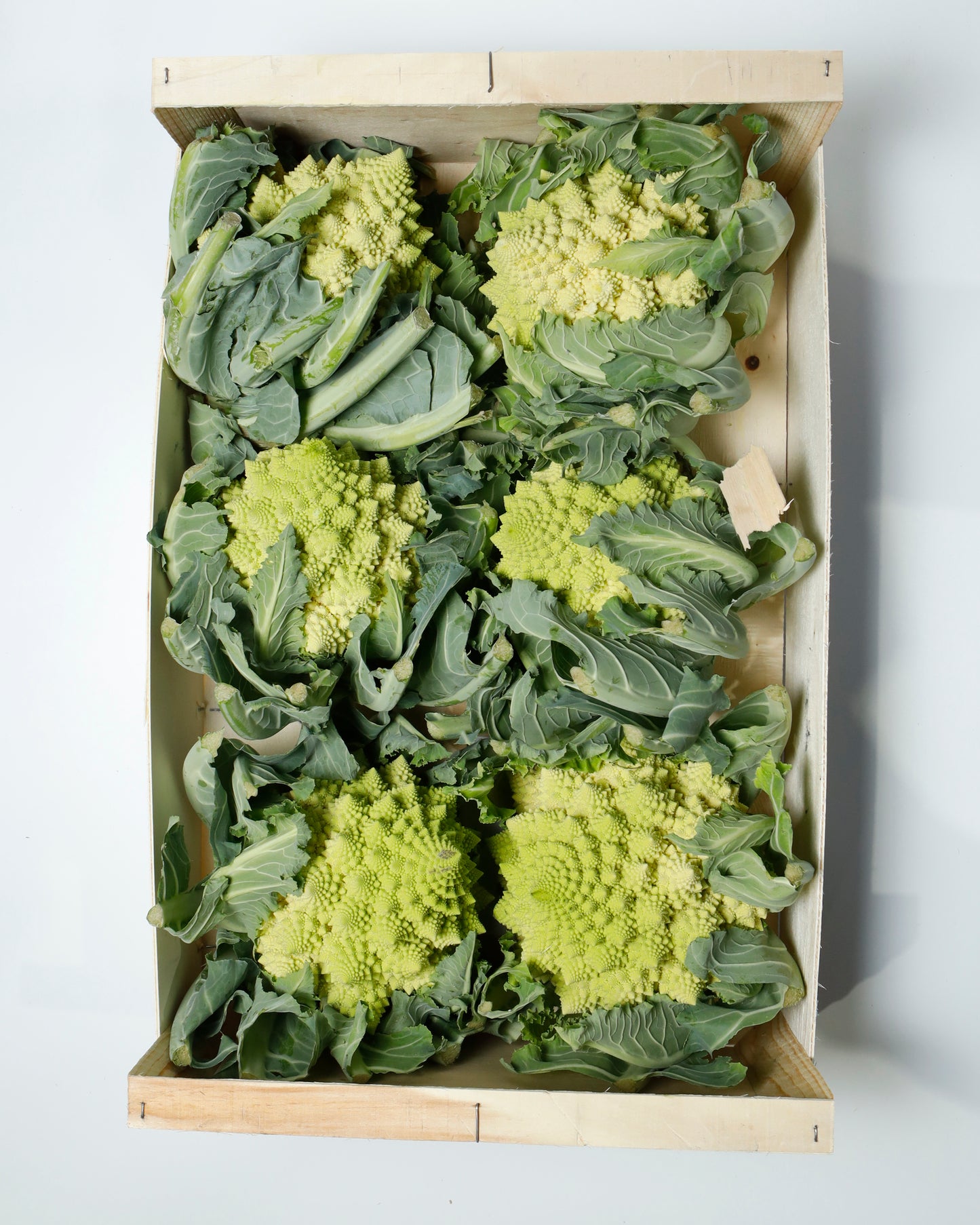Romanesco