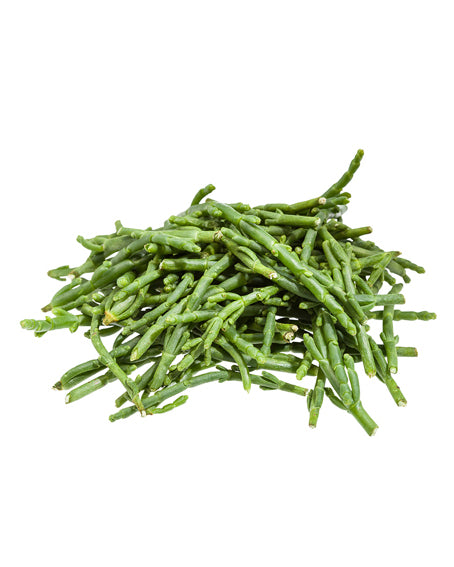 Salicornia / Sea Asparagus