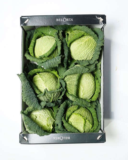 Savoy Cabbage