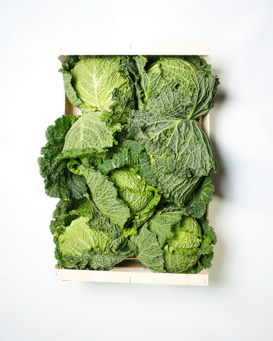 Savoy Cabbage
