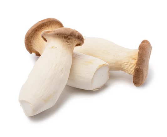 Mushroom Oyster King