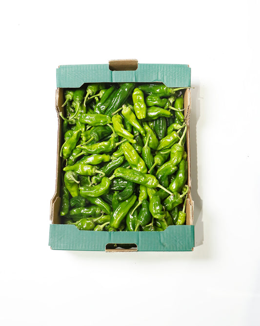 Pepper Shishito 2kg