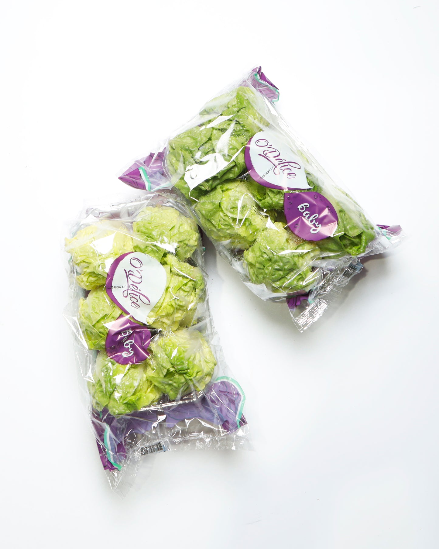 Lettuce Little Gem / Sucrine Lettuce
