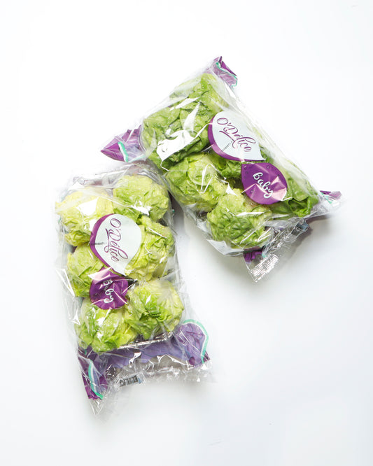 Lettuce Little Gem / Sucrine Lettuce