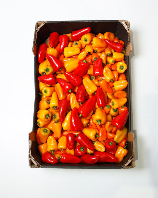 Capsicum Sweetbite Mix