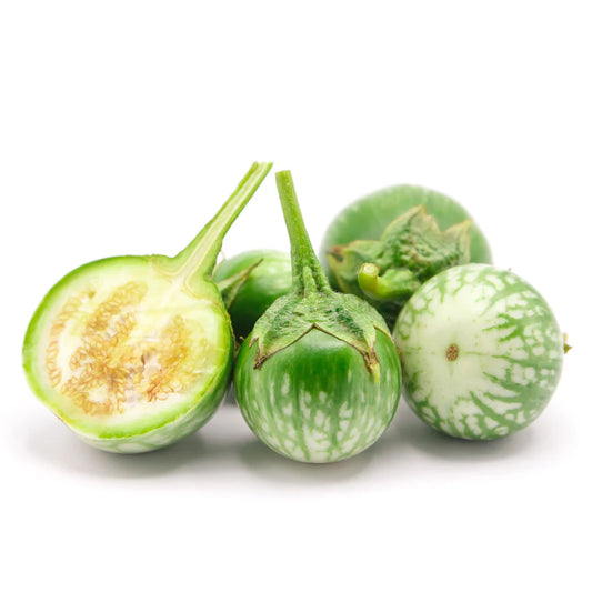 Eggplant Round Thai Baby Green