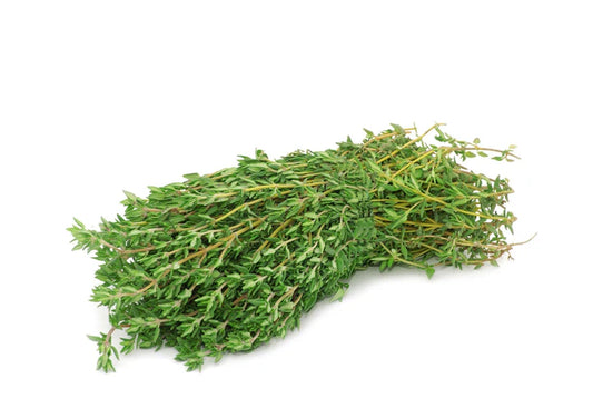 Herb Thyme