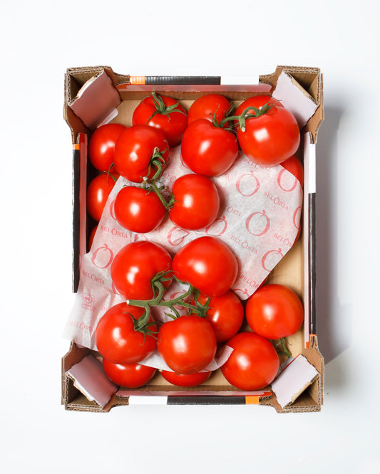 Tomato on Vine Red 5kg