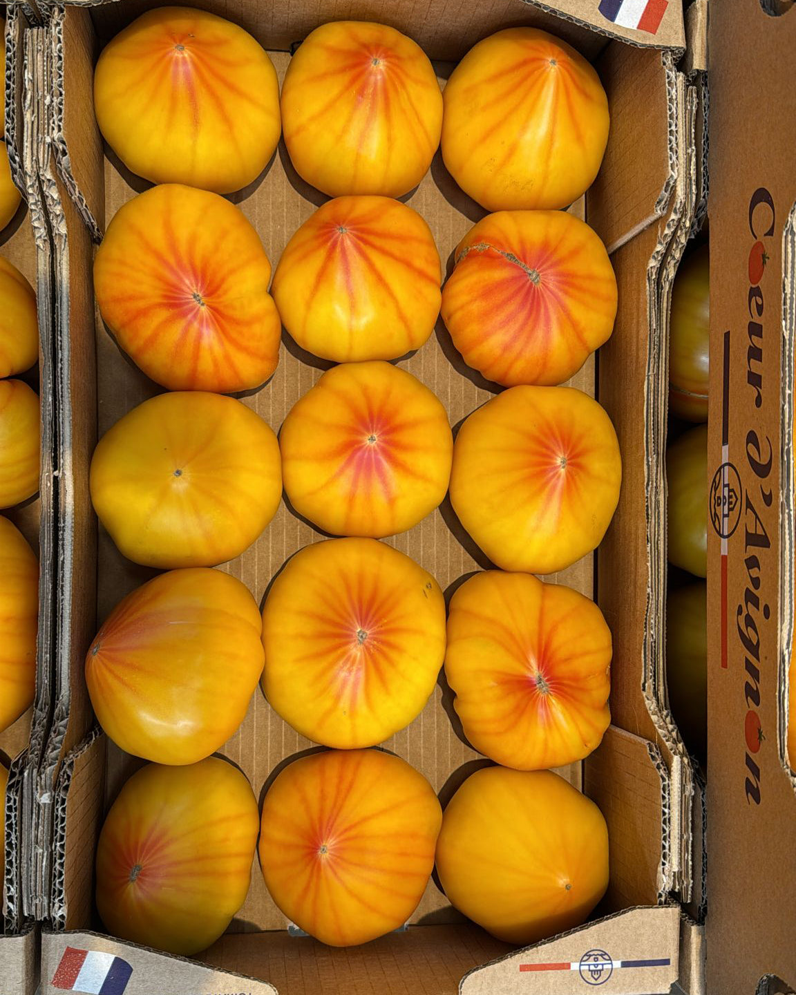Tomato Pineapple France