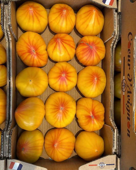 Tomato Pineapple France
